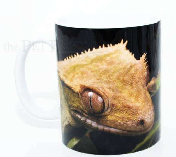 Kaffeebecher "Correlophus ciliatus black 2"